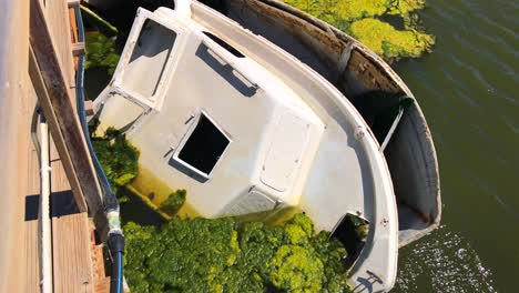 barco abandonado en un pantano verde brillante con tiempo soleado, barco abandonado en un lago estanque con musgo en marbella españa