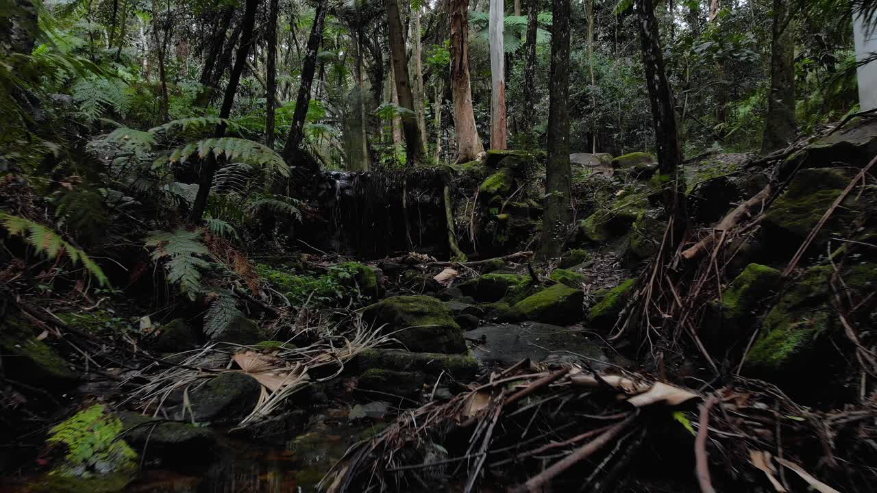 Waterfall reveal shot in a rich green forest from under an old stone bridge