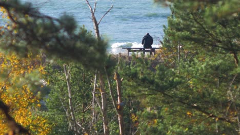 back view of caucasian male exploring nordic seaside forest, man sitting alone on the gray wooden bench on the beach, coastal pine forest in foreground, sunny day, healthy activity concept