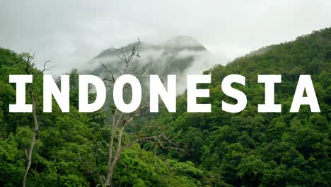 tomada de avión no tripulado de la selva tropical y el paisaje de la jungla superpuesta con gráficos animados que deletrean indonesia