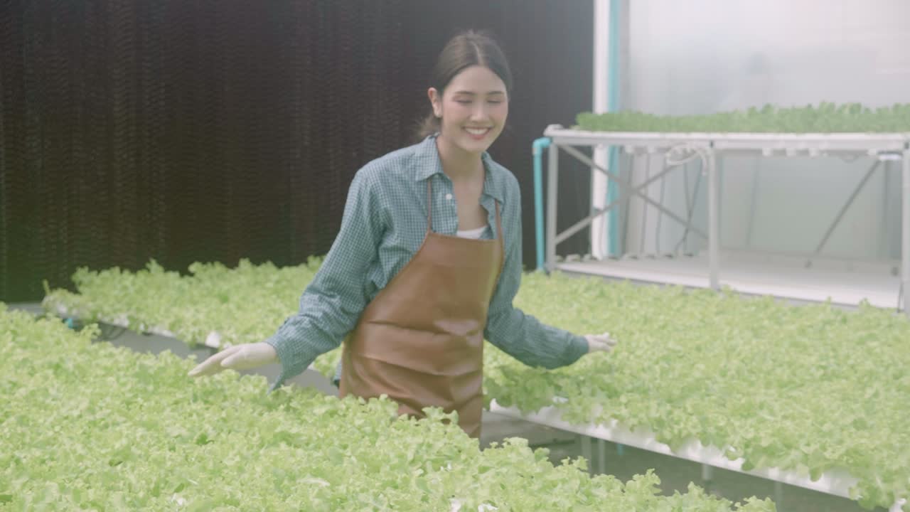 Young asian woman working in hydroponic system vegetables organic lettuce farm, female is harvest for agriculture at greenhouse, entrepreaneur examining farmland and industry in the plantation.