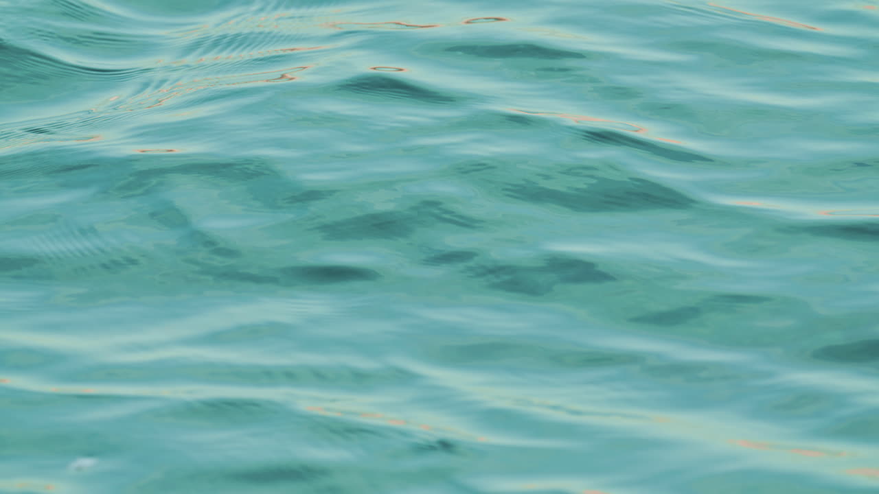 A lone cormorant glides through calm ocean water, its body submerged