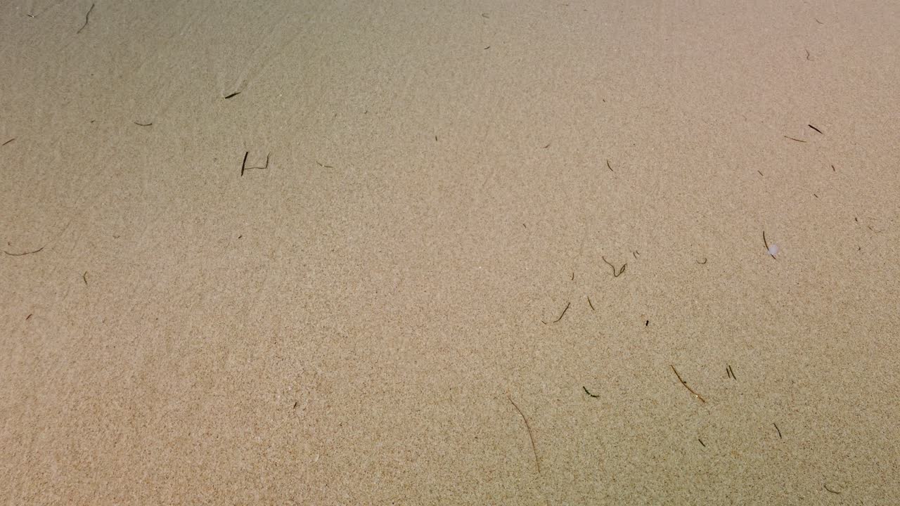 Beautiful waves crushing on the shore filming stunning ocean and yellow sand.