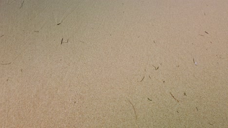 beautiful waves crushing on the shore filming stunning ocean and yellow sand.