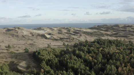 Dune-near-the-sea-aerial-video