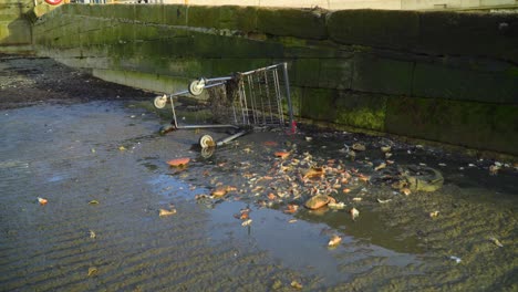 Broken-trolley-covered-in-sea-weed-laying-on-beach-next-to-pieces-of-dead-eaten-crab