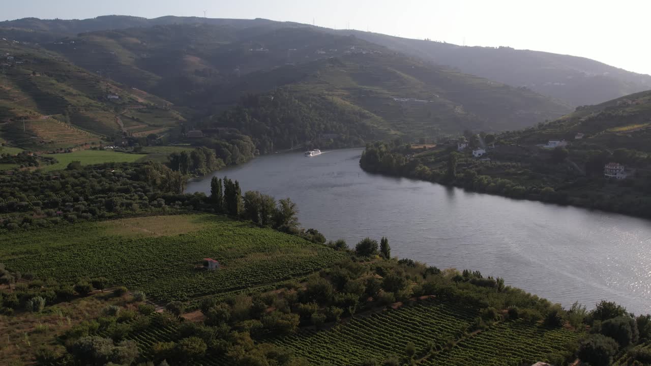I vigneti incontrano il sinuoso fiume Douro sulle colline di Régua, Portogallo