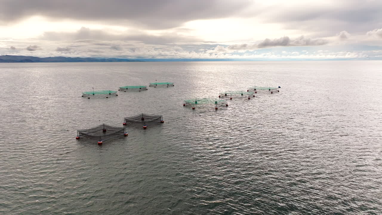 Rainbow trout fish farm aquaculture venture on Lake Tititcaca in Boliva, aerial