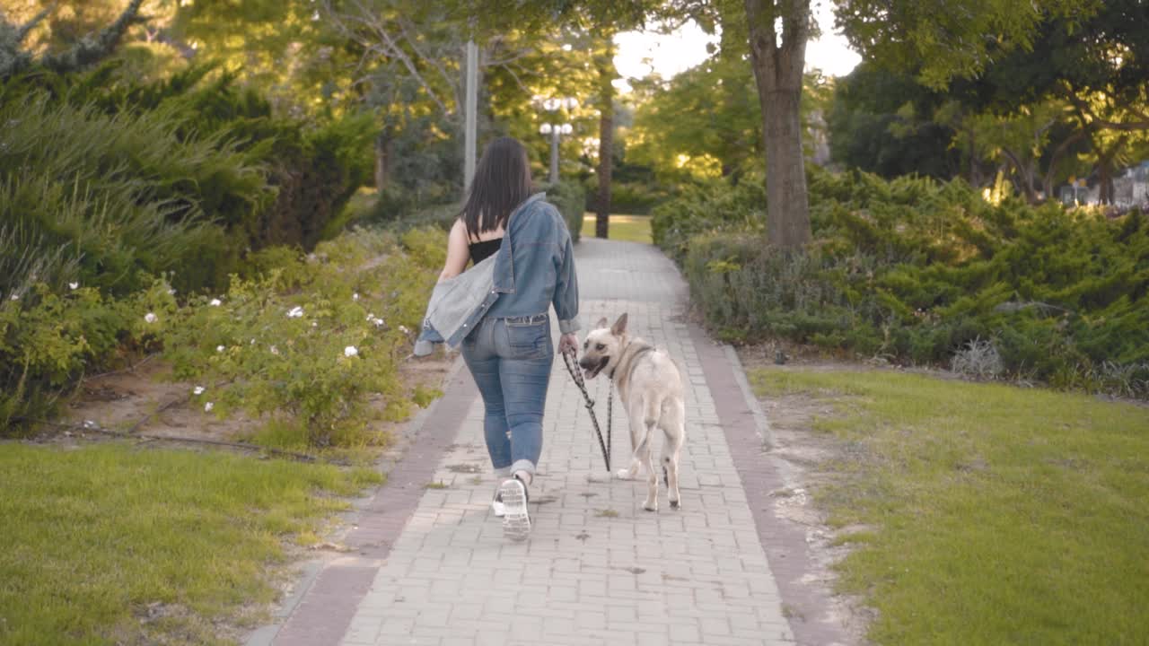 chica pasea a un perro en el parque