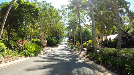 Conduciendo-En-Hamilton-Island-Australia-Norte-De-Queensland-Con-El-Buggy-En-Una-Calle-Angosta-Pasando-Por-Calles-De-Palmeras-Con-El-Sol-Brillando-A-Través-De-Los-árboles-Clima-Cálido-Tropical