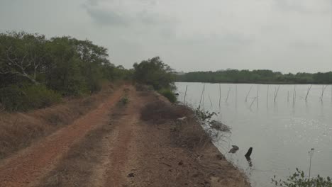 Static-shot-of-a-dirt-road-near-a-river-and-a-forest-with-trees