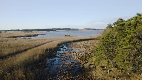 hjälstaviken nature reserve in sweden, lake and marshland with reed, wooden path for birdwatchers
