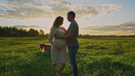 pregnant couple in a field at sunset