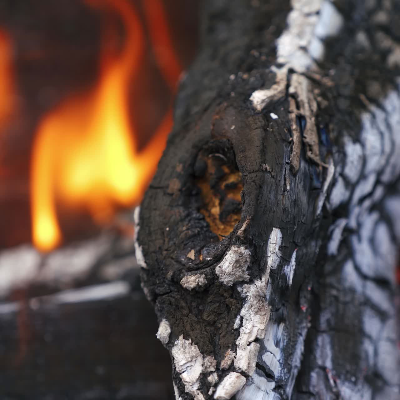 Smoldering log. Black and white wooden log in fire flame. Combustion of fire. Wood is burning up. Close-up.