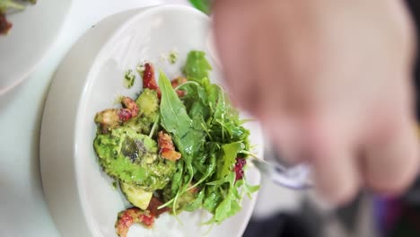 vertical handheld slow motion shot of a delicious salad with seafood, avocado and lettuce leaves finished with olive oil in an upscale restaurant