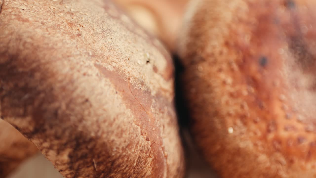 Close-up of Shiitake Mushrooms