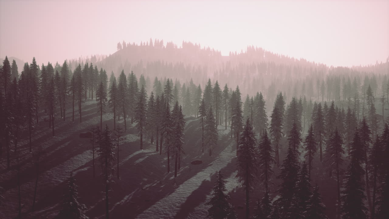 겨울 에 눈  ⁇ 인 우랄 산맥