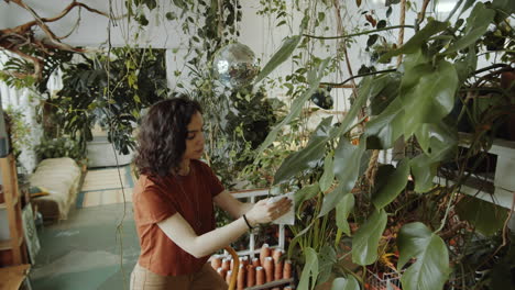 female florist cleaning plant leaves in flower shop