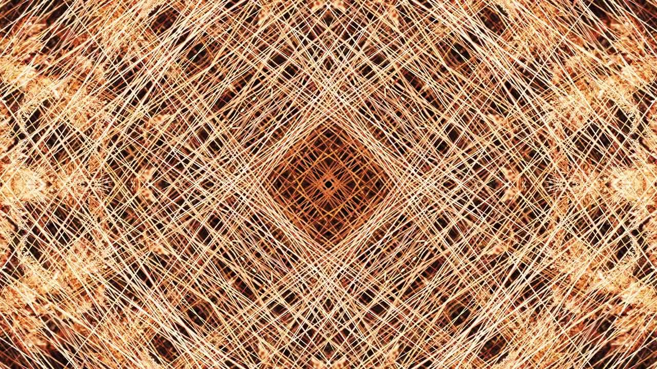 las cañas en simetría - en bucle