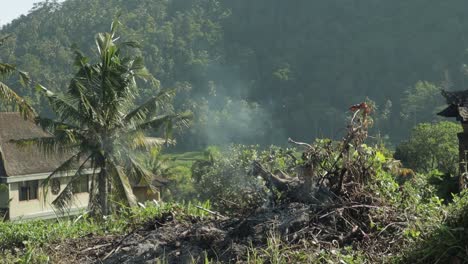 burned garbage smoke at tropical village, people walk by, slow motion