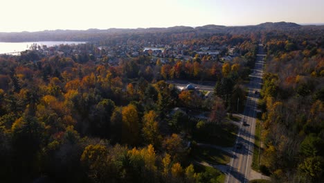 Herbstfarben-Mit-Wechselnden-Blättern