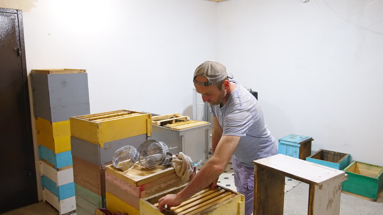 Male apiculturist replaces honey frames from one box to another. Preparing honeycombs for honey extraction.