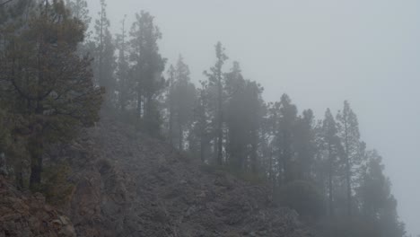 Cloud-mist-covering-woods-in-the-mountains