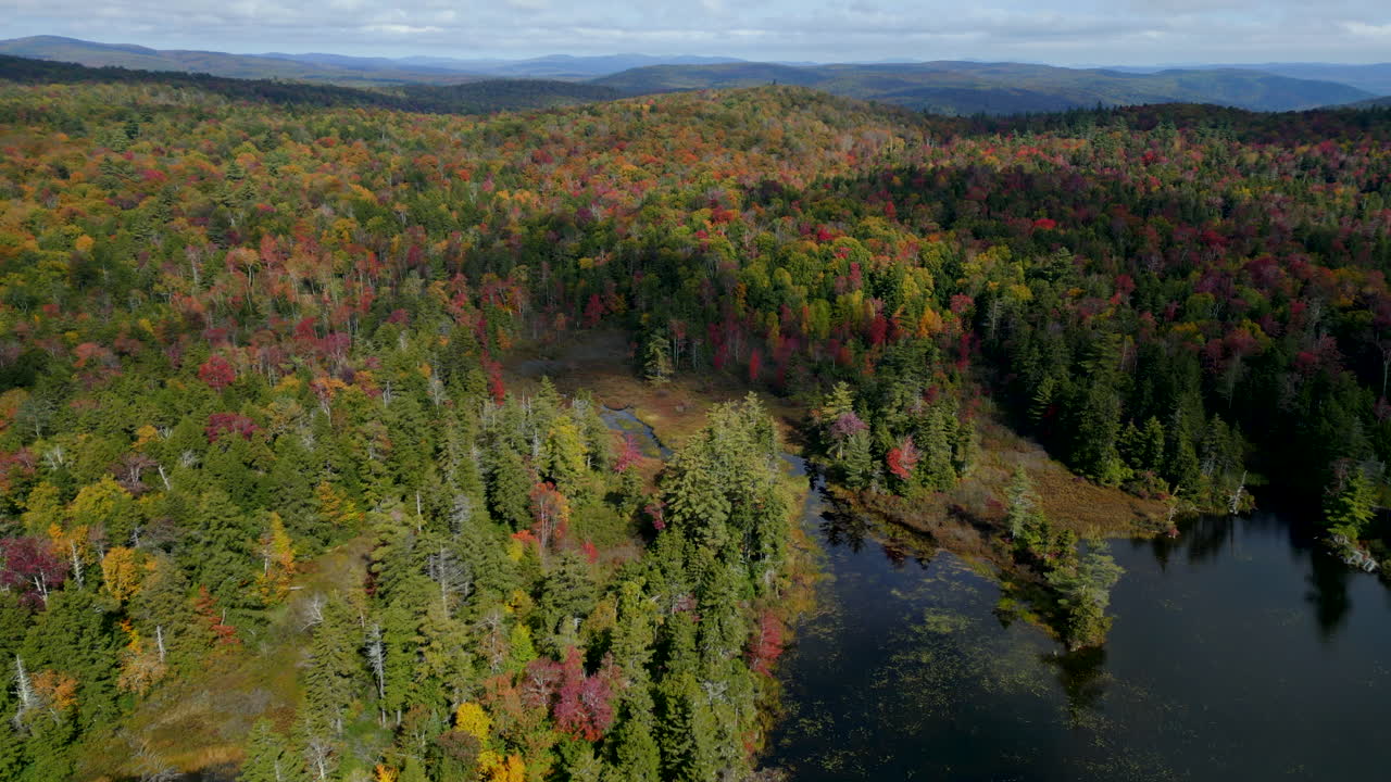 Aerial dolly over dark lake water surrounded by stunning dense trees turning red as cloud shadow passes over top