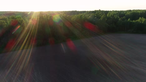 flying over the а beautiful morning forest in the rays of the dawn sun.