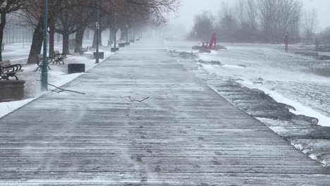 dark winter morning mist and blizzard in empty park during snow storm