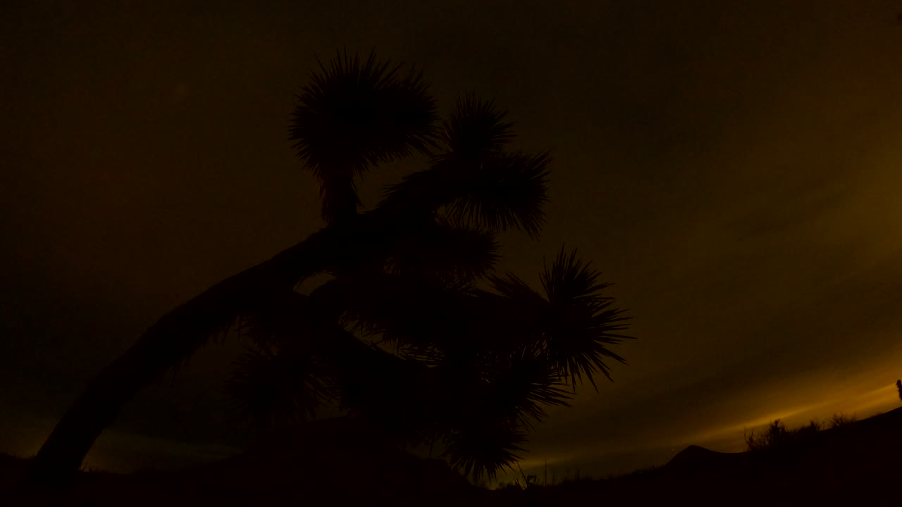 todo el día y la noche transcurren en el desierto de mojave con un árbol de joshua en primer plano con un cielo nublado y la puesta de luna llena