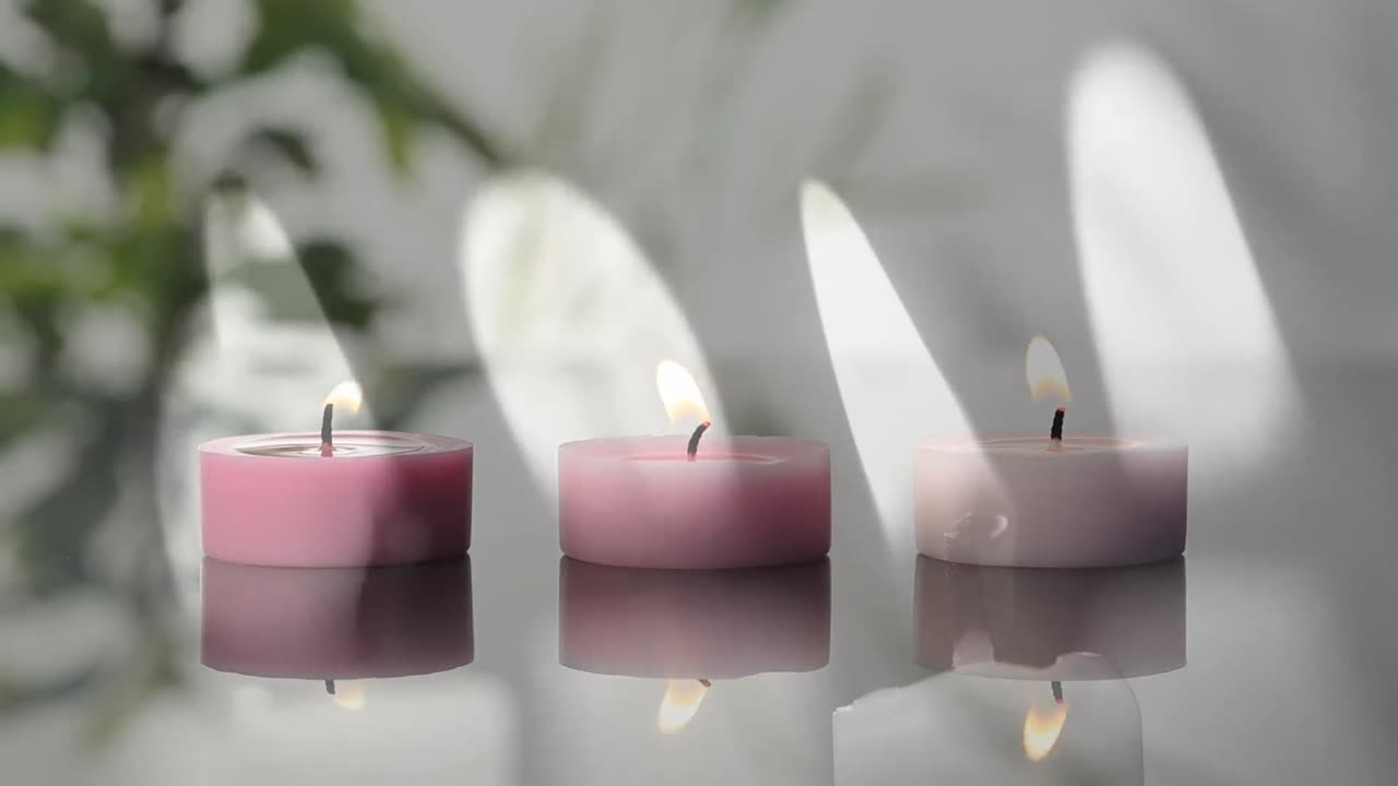 animación de llamas sobre plantas y velas