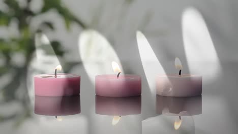 animation of flames over plant and candles