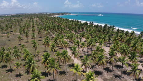 AERIAL---Beautiful-Porto-de-Galinhas-beach,-Ipojuca,-Brazil,-forward-pan-right