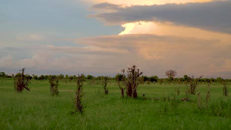 hermosa puesta de sol y gran clima en la sabana africana, botswana