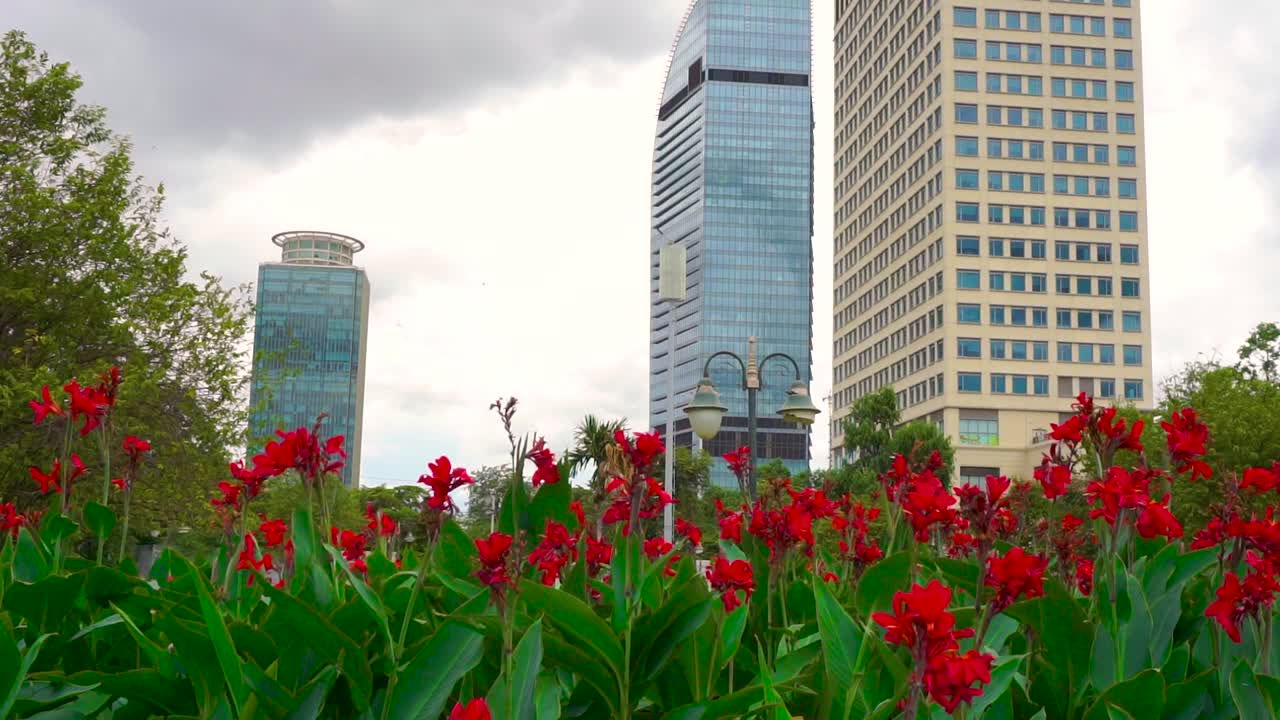 High rise Vattanac Capital city buildings with red irises orchid flower garden at Phnom Penh, Cambodia - tilt up shot