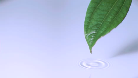 rain drops falling in super slow motion off a leaf