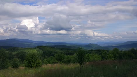 summer carpathians