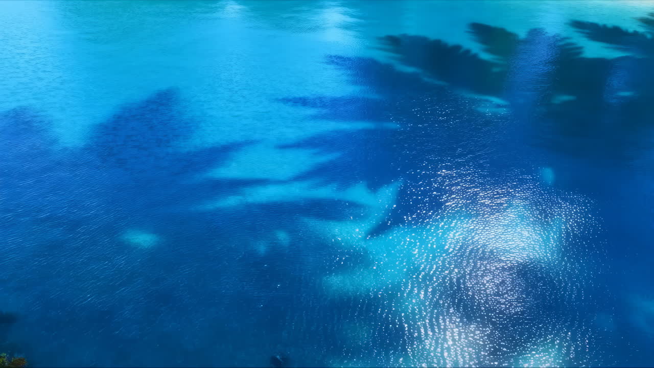 Superficie de agua azul vibrante con sombras de palmeras y ondas