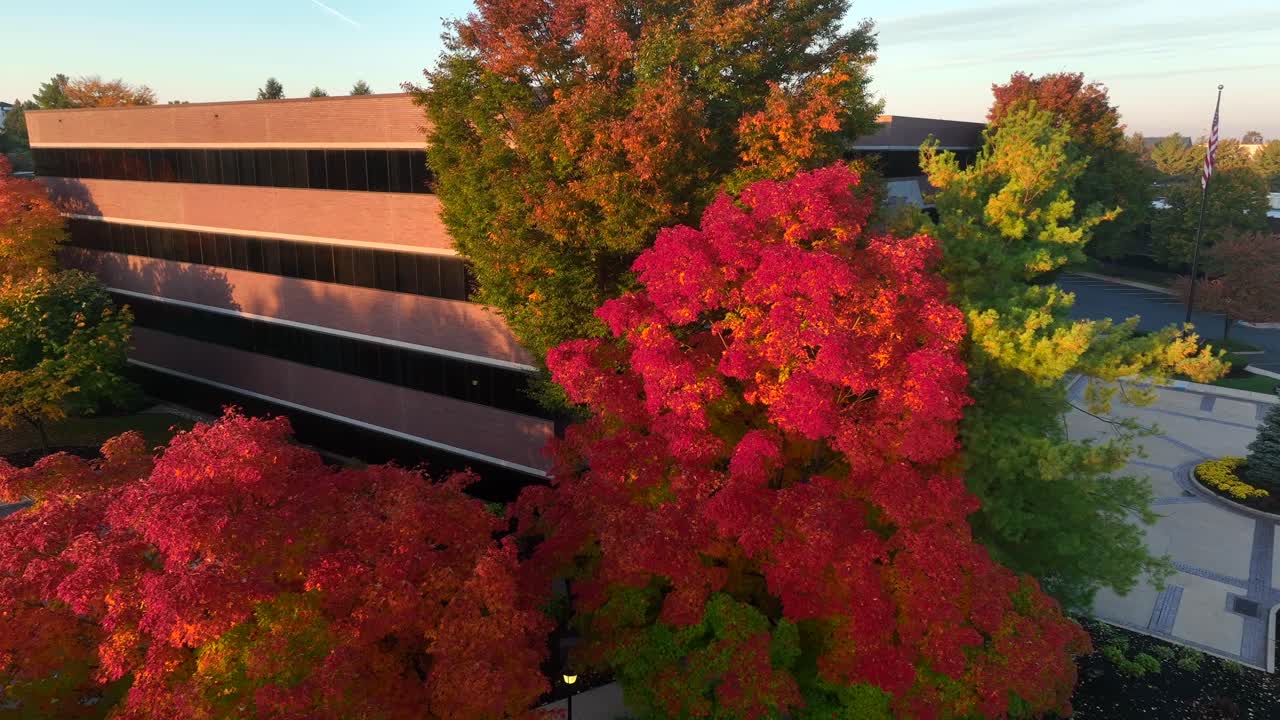 미국의 사무실 건물