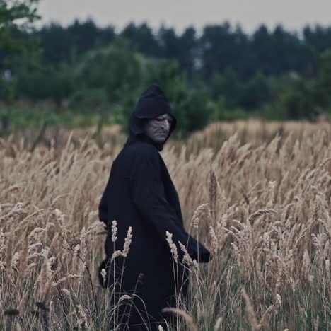 mysterious hooded figure in a golden field