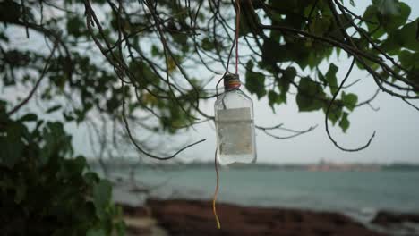 Botella-De-Plástico-Colgando-De-La-Rama-De-Un-árbol-Cerca-De-La-Playa