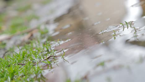 gotas de lluvia que caen en la superficie del agua del estanque 4k