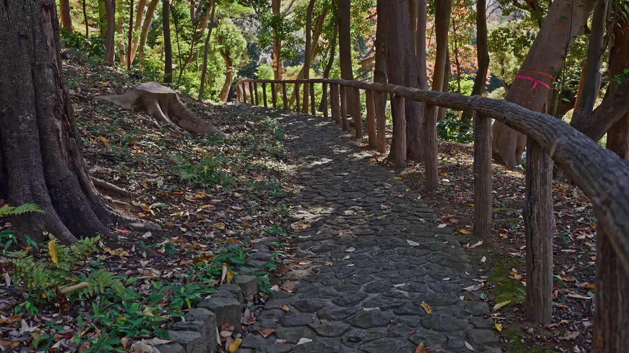 ทางเดินหินที่เงียบสงบพร้อมราวกั้นไม้เลื้อยผ่านป่าร่มรื่นในสวนญี่ปุ่น