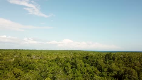 Drone-flyover-Gazi-Mangrove-forest,-scenic-Kenyan-coastal-landscape-reveal