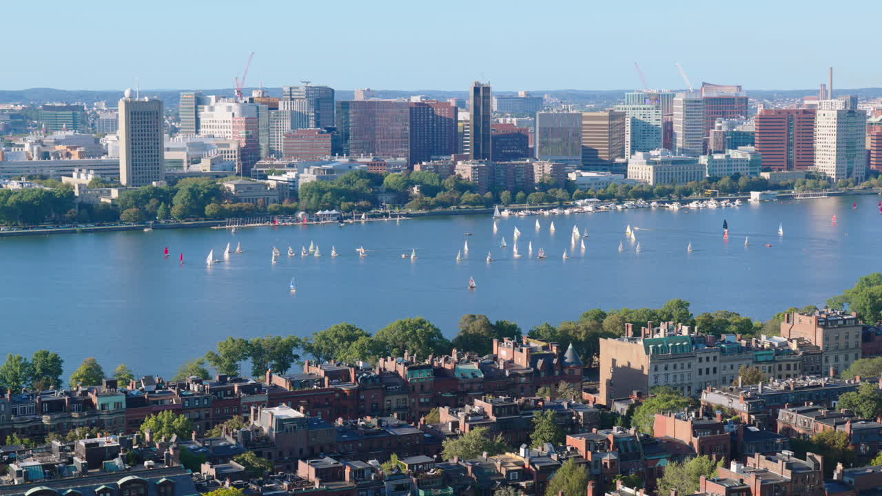 Static shot of numerous sailboats on the Charles River with the Boston skyline in the background under clear blue sky