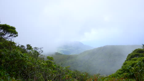 Blick-Von-Oben-Auf-Einen-Grünen,-üppigen,-Tropischen-Regenwaldberg