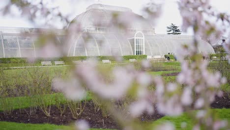 Kew Gardens Glasshouse in Spring