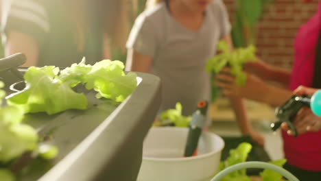 kids planting lettuce in a hydroponic system