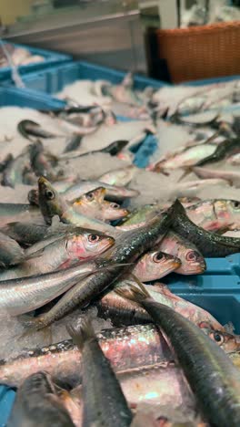 pescado fresco en hielo en un mercado